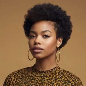 TWA (Teeny Weeny Afro) - 4c Hairstyle